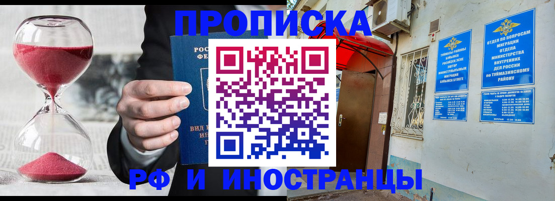 прописка 2025 в Губахе